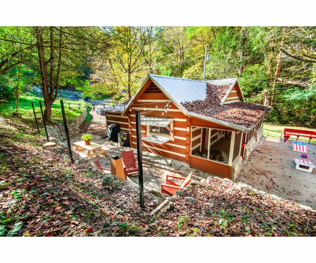 Beary Relaxing Cabin - Rustic With Outdoor Patio Townsend Exterior foto